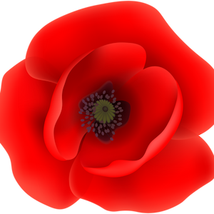 Coomera Anzacs