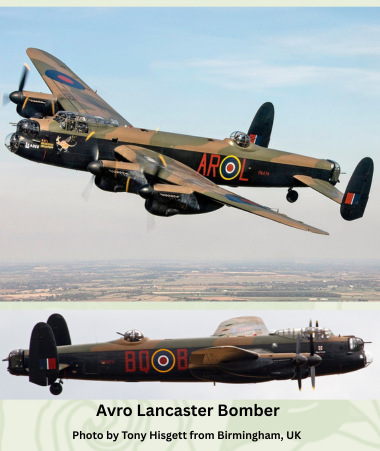 Coomera Anzacs - The Cenotaph